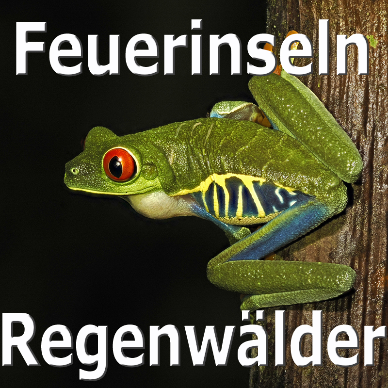 Feuerinseln-Regenwälder - Paul Kornacker