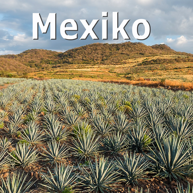 Mexiko - Renate Kogler; Franz Marx