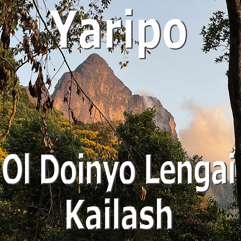 Yaripo - Helga Hengge