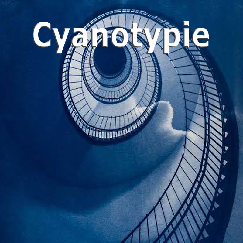 WS Cyanotypie - Karl H. Warkentin