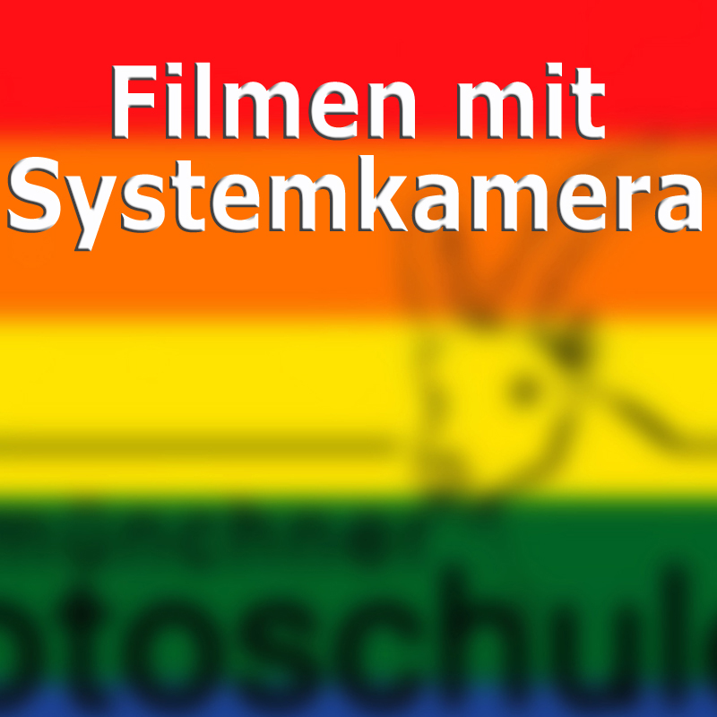 WS Filmen - Christian Stelzl