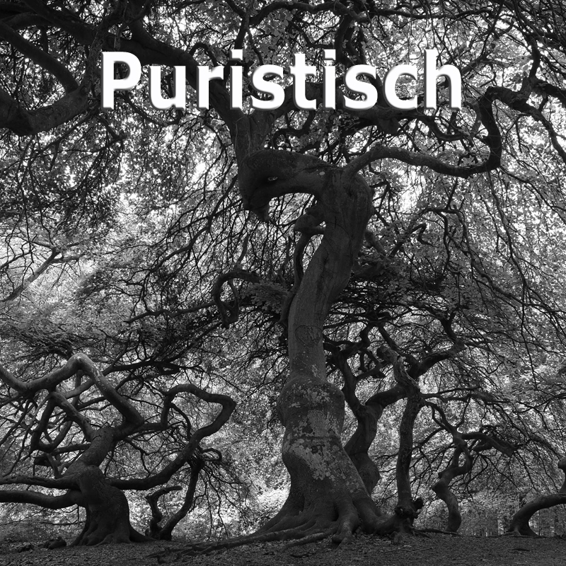 WS Puristisch - Eric Scheuermann