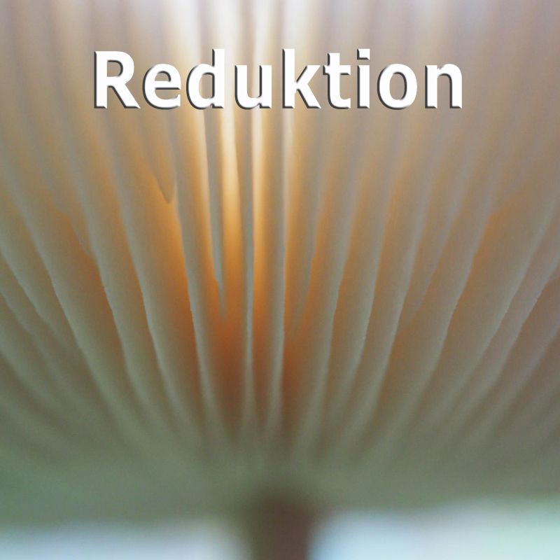 WS Reduktion - Eric Scheuermann